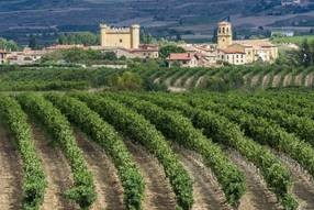 WINERY